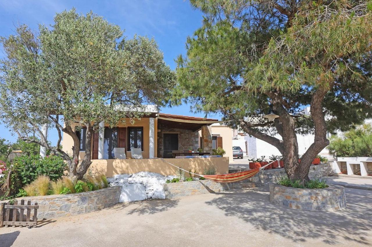 Pine Cottage, Syros Island Agros  エクステリア 写真