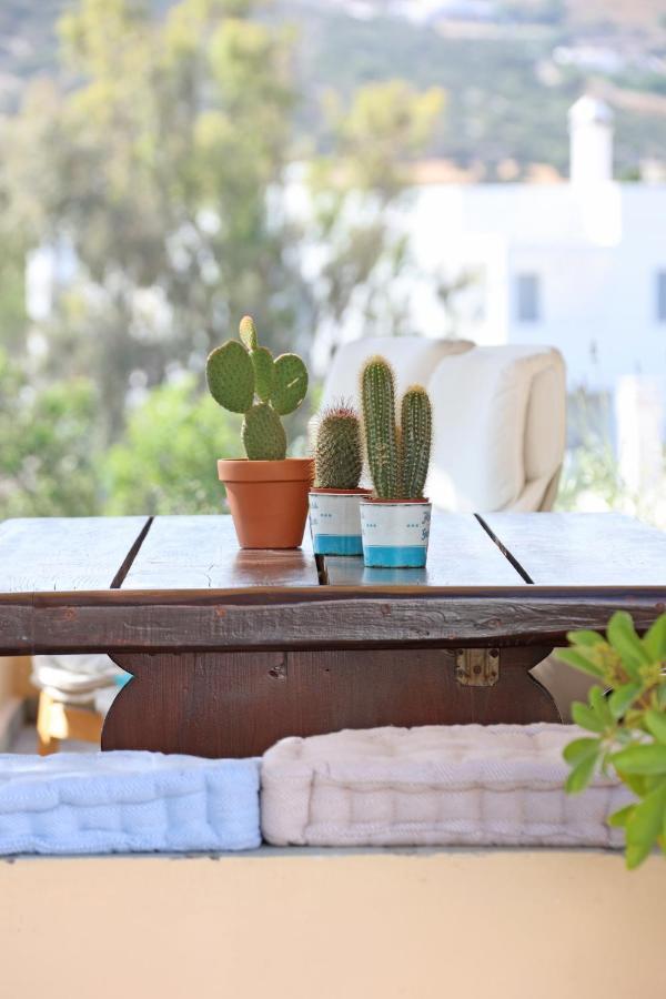 Pine Cottage, Syros Island Agros  エクステリア 写真